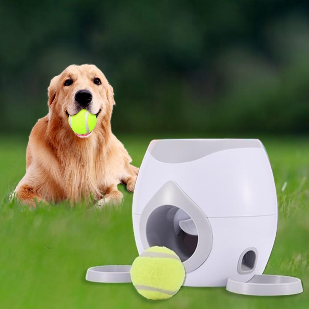 Le lanceur automatique de balles pour chiens 